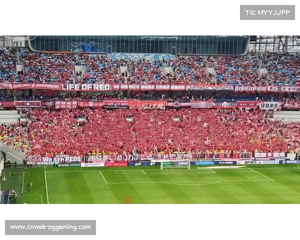 成都球迷文化日趋成熟 主场氛围赢得高度评价